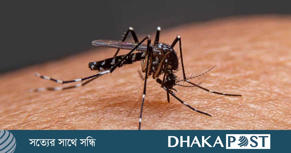 চট্টগ্রামে বাড়ছে ডেঙ্গু-চিকুনগুনিয়া রোগী